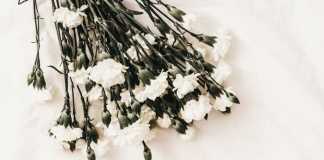 Celebrities Who Lost Their Loved Ones