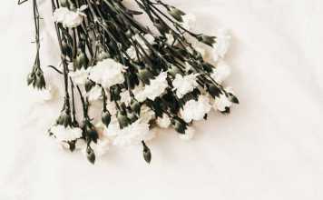 Celebrities Who Lost Their Loved Ones