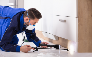 Pest Problems – How to Safeguard Your Home from Unwanted Visitors