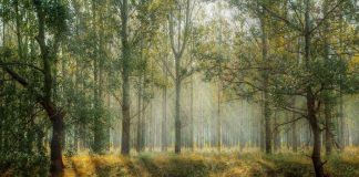 3 Easy Methods to Go Paperless