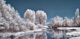 Dreading the Start of Winter – Tips that Will Help You Embrace the Season