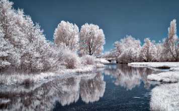 Dreading the Start of Winter – Tips that Will Help You Embrace the Season