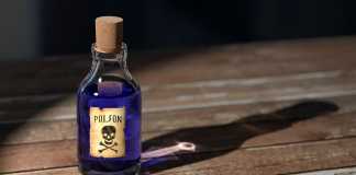 Do Pest Control Products Impact Your Health?