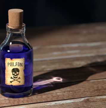Do Pest Control Products Impact Your Health?
