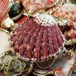 seashells-jewelry-accessories1280