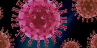 Coronavirus Quarantine: See the Bright Sides!