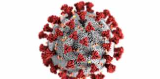 Celebrities Marked Down by COVID-19