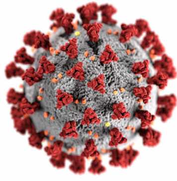 Which Conditions Make COVID-19 Fatal?