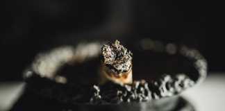 Celebrities Who Quit Smoking