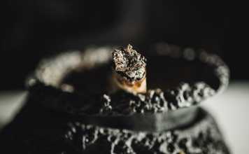 Celebrities Who Quit Smoking