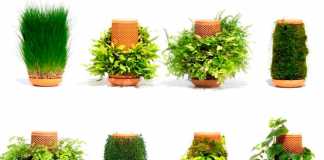 Terraplanter: Grow Plants Without Soil