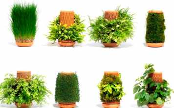 Terraplanter: Grow Plants Without Soil