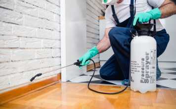 What Is Fumigation? Everything You’ve Ever Wanted to Know