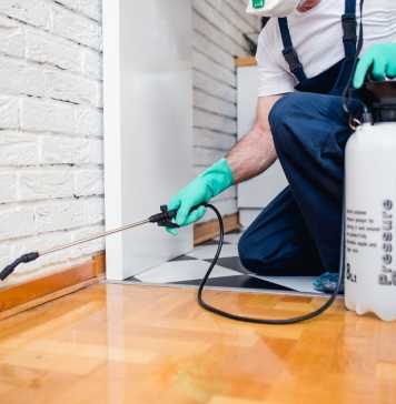 What Is Fumigation? Everything You’ve Ever Wanted to Know