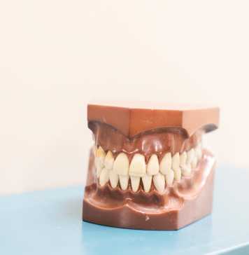 How to Maintain Good Oral Hygiene