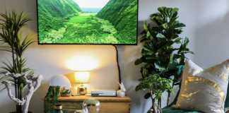 Décor Your Quarantine Home Effectively: Use Promotion Codes