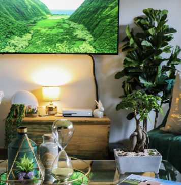 Décor Your Quarantine Home Effectively: Use Promotion Codes