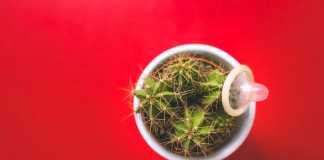 Symptoms, Causes, and Prevention Methods for STDs