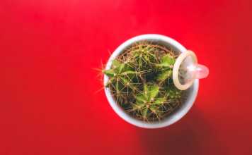 Symptoms, Causes, and Prevention Methods for STDs