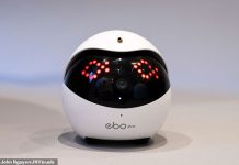 Small Babysitter Gadget EBO