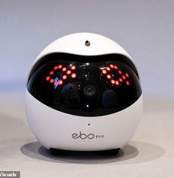 Small Babysitter Gadget EBO