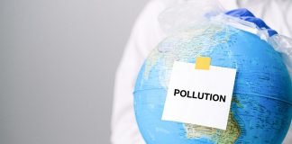 Albert Boufarah of SAMR Inc. Explains How to Increase Profits Using Sustainable Practices