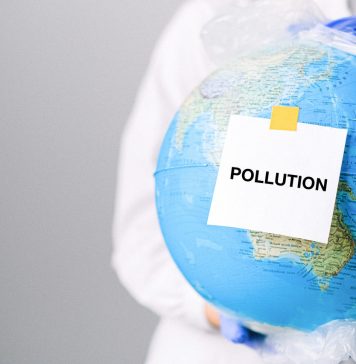 Albert Boufarah of SAMR Inc. Explains How to Increase Profits Using Sustainable Practices