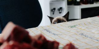 What Causes Kleptomania and How to Treat It?