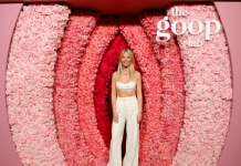 Things to Learn from Successful Celebrity Entrepreneurs