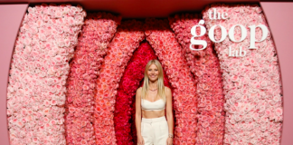 Things to Learn from Successful Celebrity Entrepreneurs