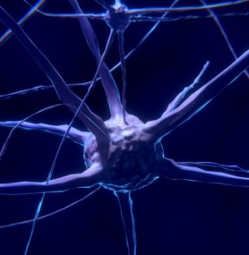 How to Improve Your Brain-Gut Connection?
