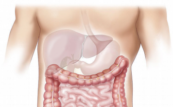 Foods That Cleanse Your Liver